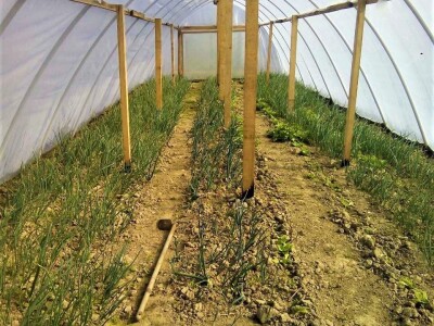 OPG KOCIPER OPG KOCIPER