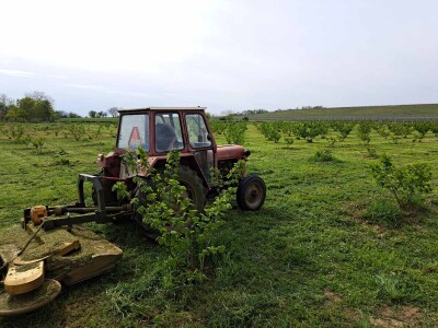 OPG Kopić-Popović - arhiva