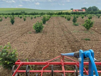 OPG Kopić-Popović - arhiva