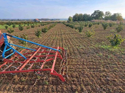 OPG Kopić-Popović - arhiva