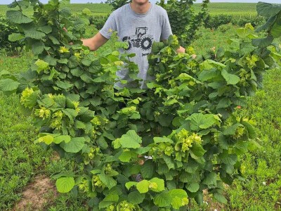 OPG Kopić-Popović - arhiva