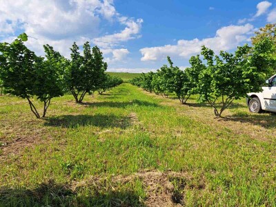 OPG Kopić-Popović - arhiva