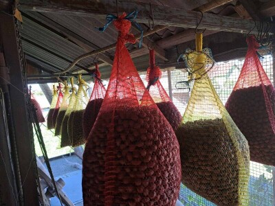 OPG Kopić-Popović - arhiva