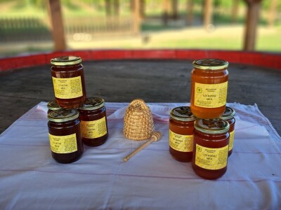 OPG Kopić-Popović - arhiva