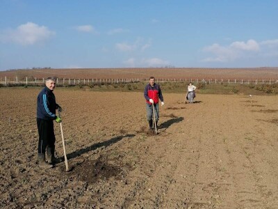OPG Kopić-Popović - arhiva