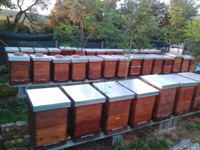 OPG Kopić-Popović - arhiva