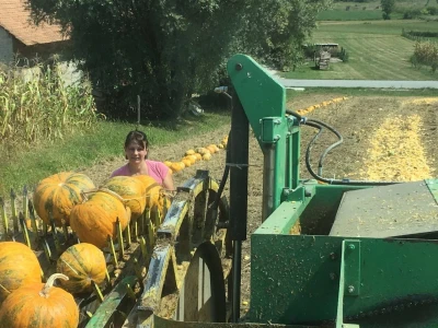 OPG Kovač