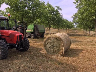 OPG Kovač