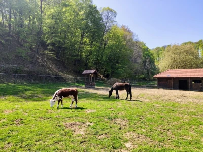 OPG KREŠO BUKVIĆ