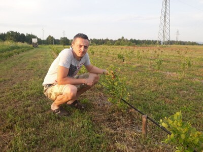 OPG Laktić Mario OPG Laktić Mario