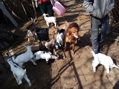 OPG Lepoglavec OPG Lepoglavec