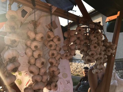 OPG Lepoglavec OPG Lepoglavec