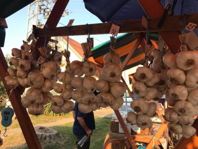 OPG Lepoglavec OPG Lepoglavec