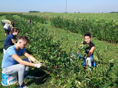 OPG LESJAK OPG LESJAK