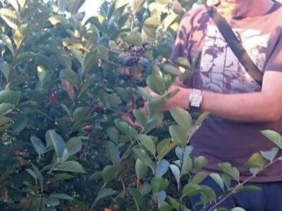 OPG LESJAK OPG LESJAK