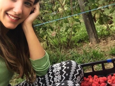 Proizvodnja malina na OPG LEVAK