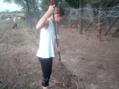 OPG Lovrić Jovanović Tatjana