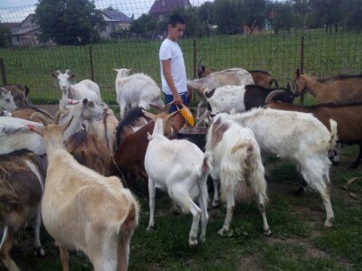 OPG Lovrić Jovanović Tatjana