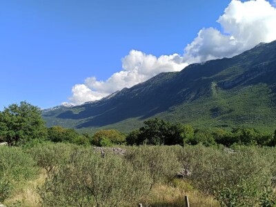 OPG Lucijan Trogrlić