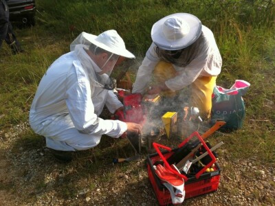 OPG Lucijan Trogrlić