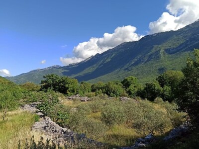 OPG Lucijan Trogrlić