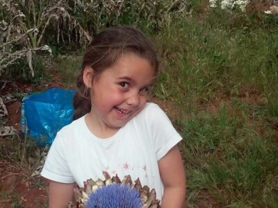 Opg Maja Sučić: Iskrčila djedovinu i uz prvi red do mora podigla plantažu artičoka