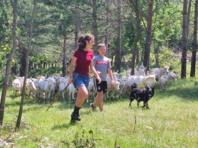 OPG Mala Roga OPG Mala Roga