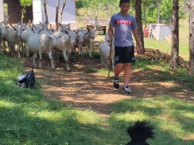 OPG Mala Roga OPG Mala Roga