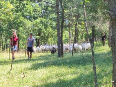 OPG Mala Roga OPG Mala Roga