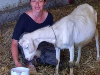 OPG Mala Roga OPG Mala Roga