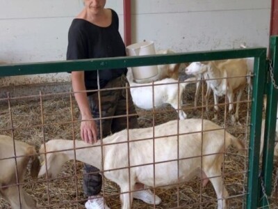 OPG Mala Roga OPG Mala Roga