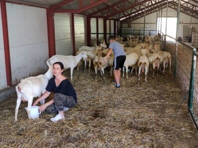 OPG Mala Roga OPG Mala Roga