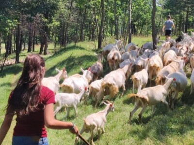 OPG Mala Roga OPG Mala Roga