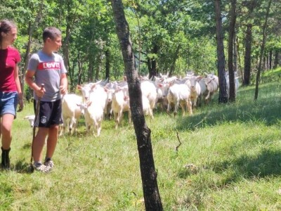 OPG Mala Roga OPG Mala Roga