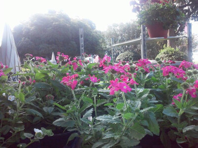 Sasvim je jasno zašto su uspješni u svom poslu Sasvim je jasno zašto su uspješni u svom poslu