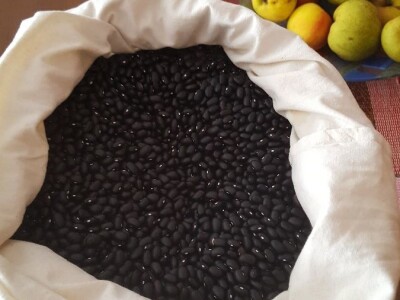 OPG Marija Vukobratović OPG Marija Vukobratović