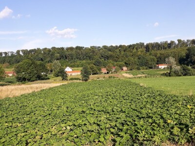 OPG Marija Vukobratović OPG Marija Vukobratović