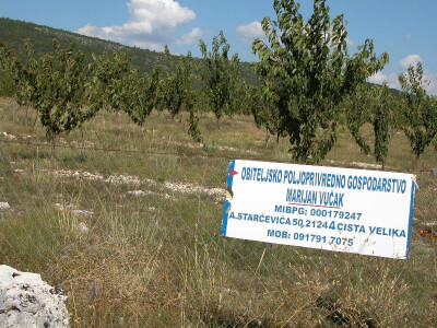 Posjetitelji se neće izgubiti kada žele posjetiti Marjanovu plantažu trešanja jer ih upozorava jasan natpis