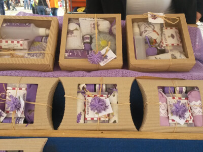 OPG Marijana Vinković ekološka lavanda