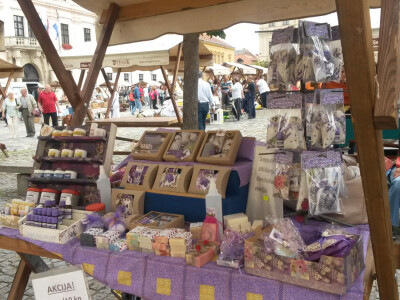 OPG Marijana Vinković ekološka lavanda