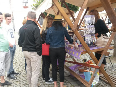 OPG Marijana Vinković ekološka lavanda