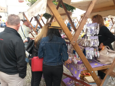 OPG Marijana Vinković ekološka lavanda