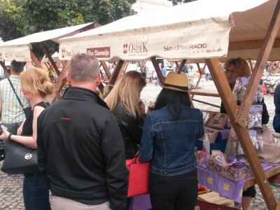 OPG Marijana Vinković ekološka lavanda