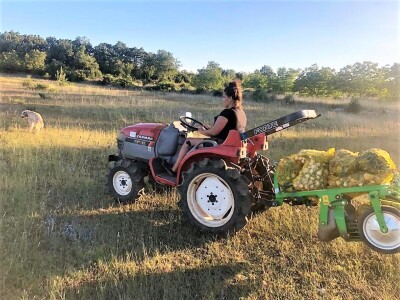 OPG Marine Šunić, najuzornije hrvatske seoske žene