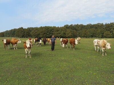 Pašnjak Dragana Marjanovića