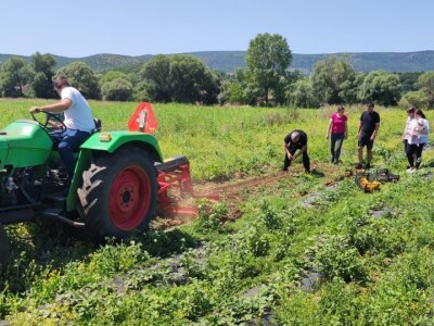 OPG Marko iz Gradaca