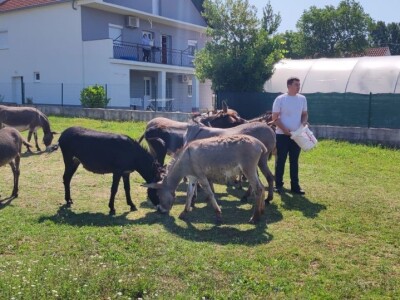 OPG Marko iz Gradaca