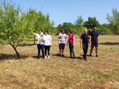 OPG Marko iz Gradaca