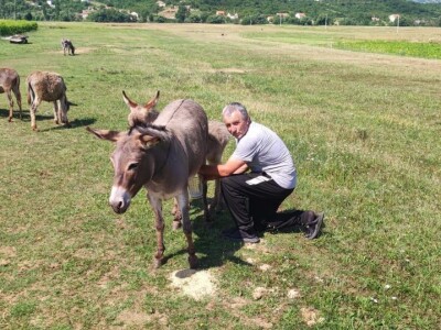 OPG Marko iz Gradaca