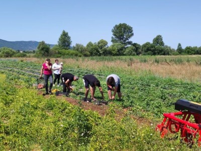 OPG Marko iz Gradaca